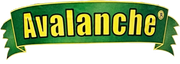 Avalanche