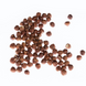 Орехи фундук сырой (в кожуре) натуральные 200 г Hazelnut N (Haz-Rus-r-200) Haz-Rus-r-200 фото 5