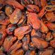 Мидии сушеные с солью 500 г Caridea (mussels-salt-500) mussels-salt-500 фото 5