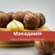 Горіх макадамія неочищений в шкаралупі 500 г Macadamia Clear (Mac-Clear-R-500) Mac-Clear-R-500 фото 3