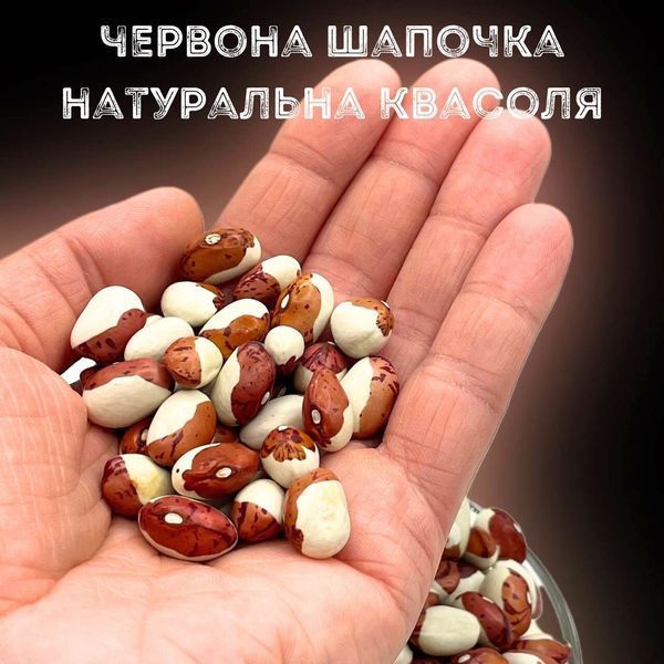Фасоль Красная шапочка &ndash; Бело-Красная с Высоким Содержанием Белка 500 г Смакодар (beans-RH-500) beans-RH-500 фото