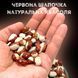 Фасоль Красная шапочка &ndash; Бело-Красная с Высоким Содержанием Белка 500 г Смакодар (beans-RH-500) beans-RH-500 фото 3